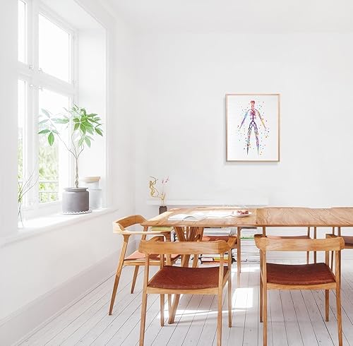 Miniatura 6 de Dignovel Studios 8X10 Sistema Venoso Sin Marco Cuerpo Humano Vena Anatomía Ciencia Ilustración Médica Doctor Clínica Acuarela Arte Impresión Póster