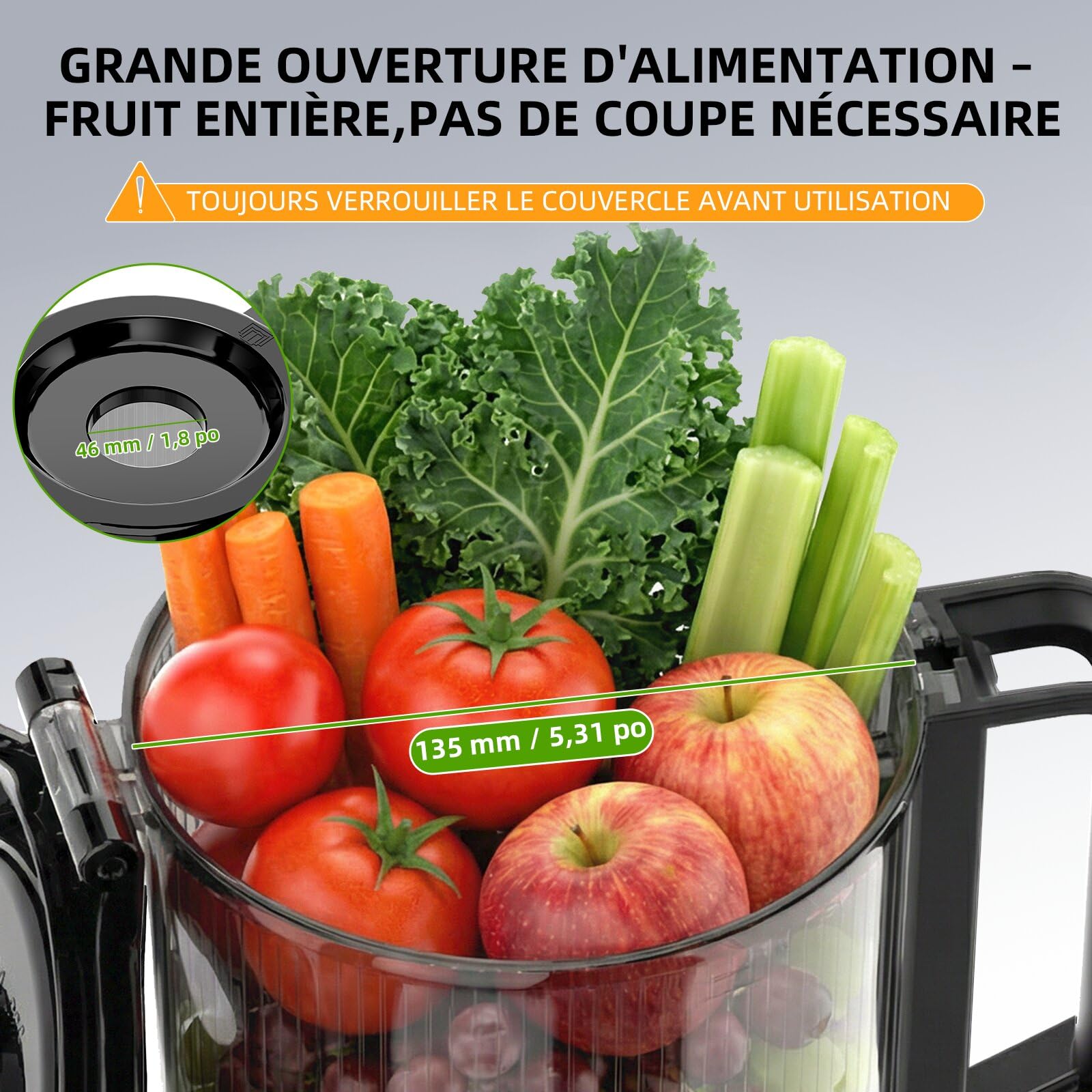 FIMEI Extracteur de Jus, Slow Juicer Grande Ouverture 135mm, Sans BPA, Base Inox, 2 Verres