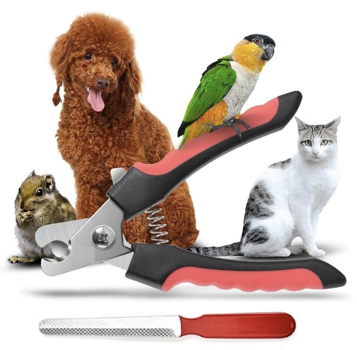 THE DDS STORE Dog Nail Cutter, Pet Nail Clipper,Claw & Nails Clippers Grinder Trimmer for Small, Medium, Large Dogs (B08HX7VW33) Amazon Price History, Amazon Price Tracker