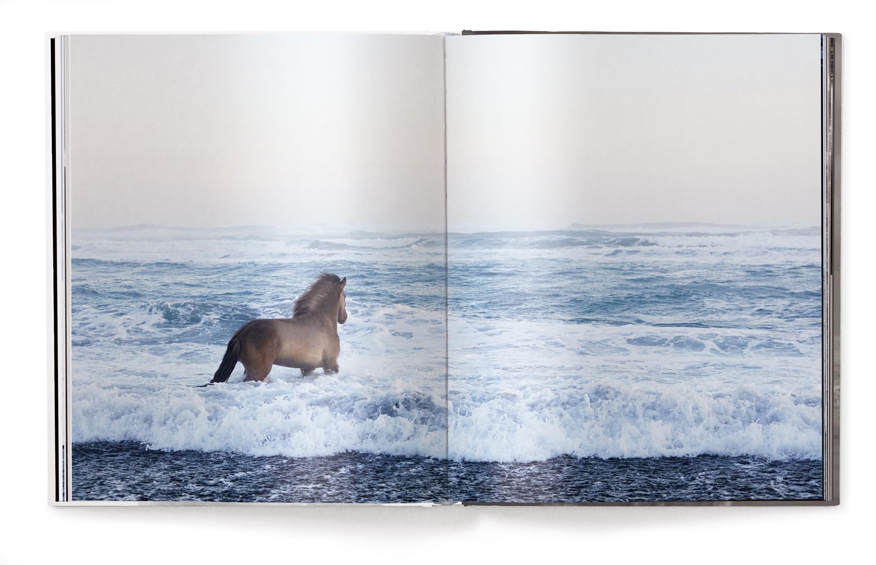 Untamed Spirits: Horses from Around the World /anglais/allemand