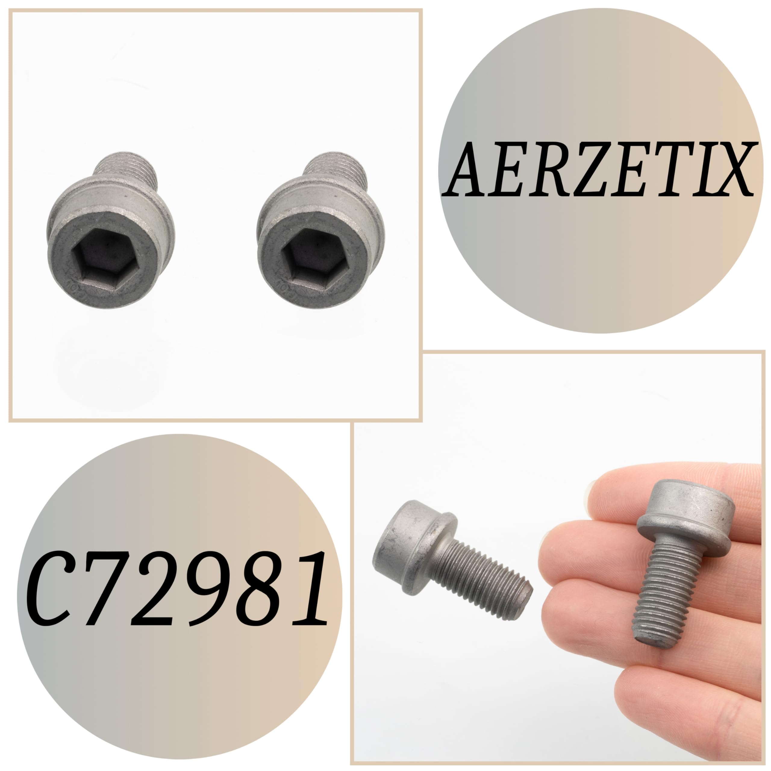 AERZETIX - C72981 - Set of 2 Bolts, Brake Caliper M10 x 1.25  