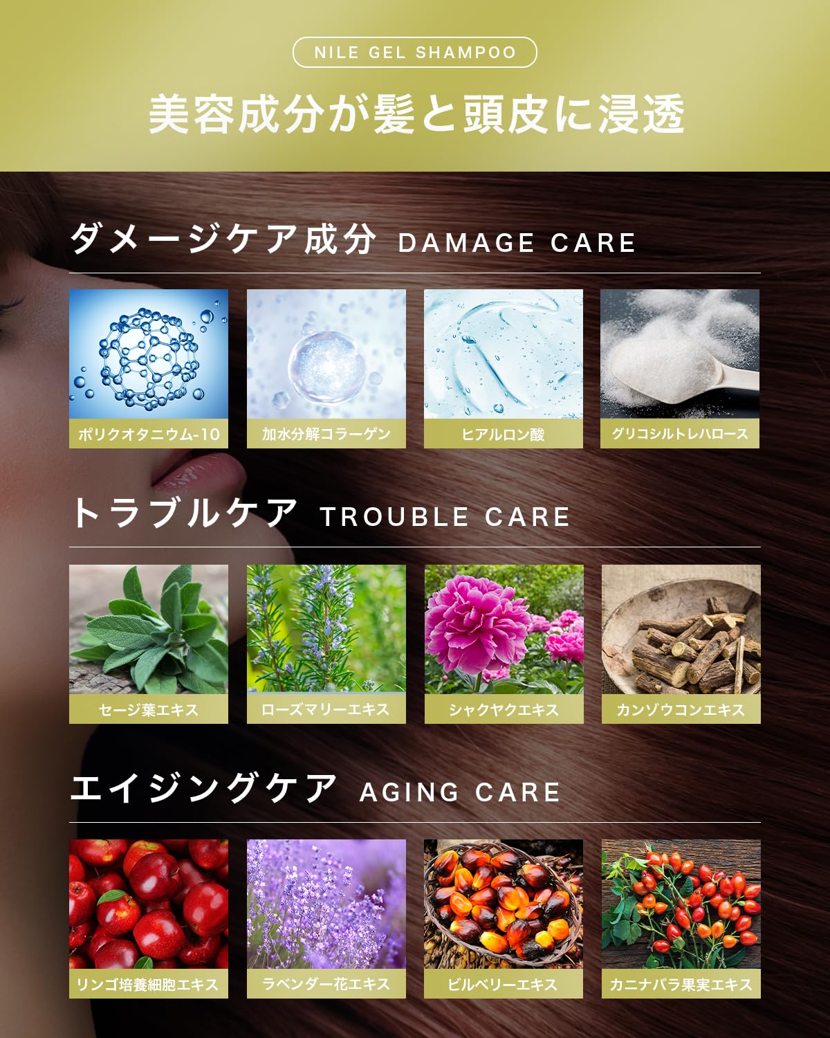 Amazon | NILE 超濃密泡ジェルシャンプー リンスインシャンプー （ラ