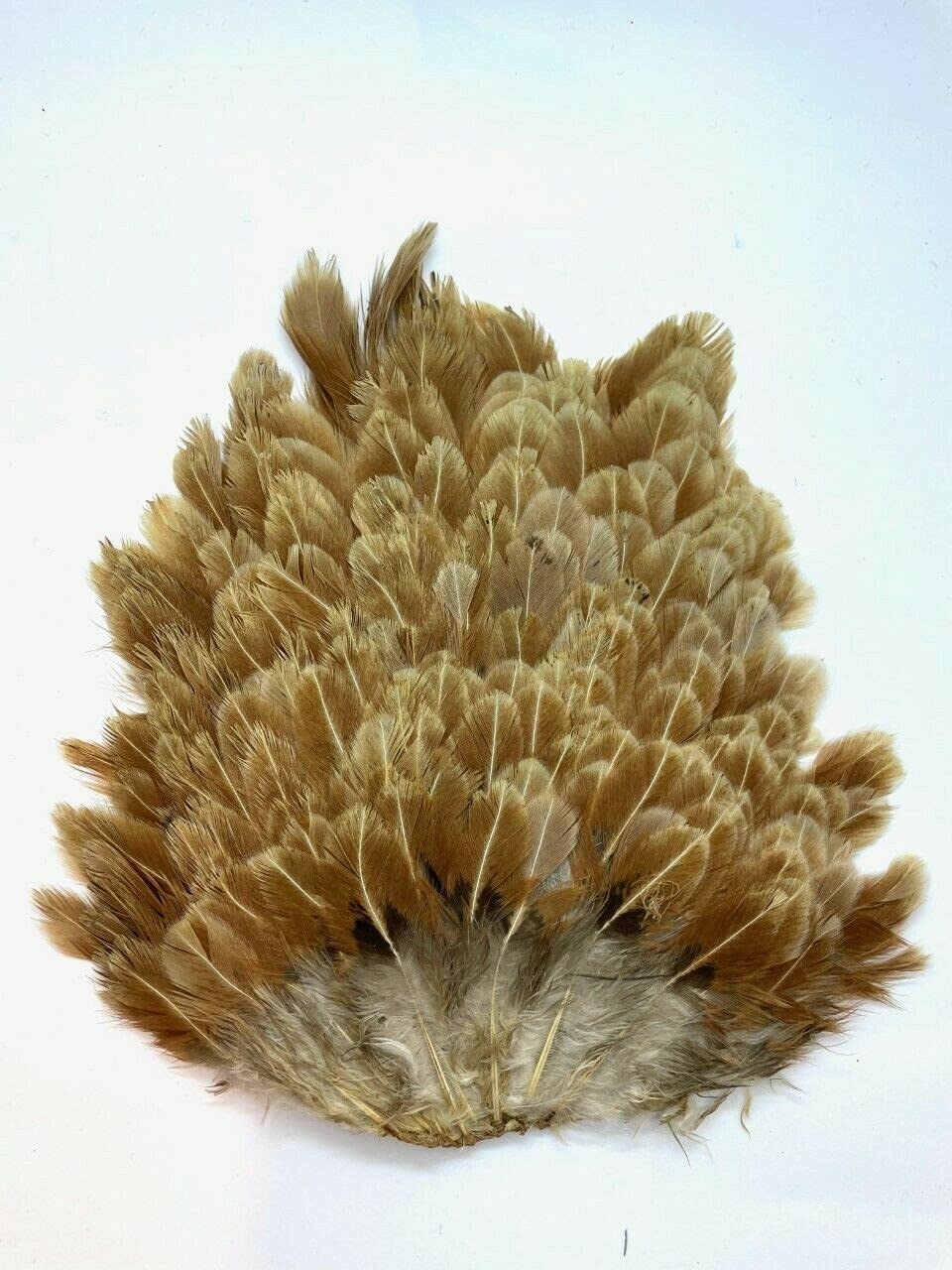 Hen Capes in Natural Colours, Fly Fishing, Fly Tying, Arts & Craft (Light Brown)
