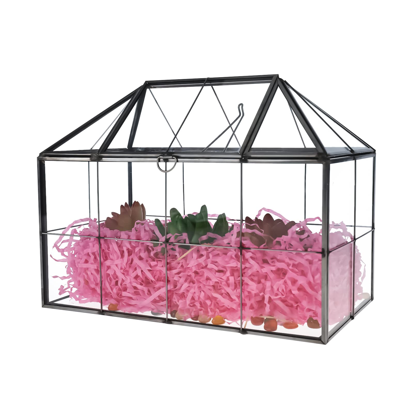 https://m.media-amazon.com/images/I/71wkgJY87OL.jpg
