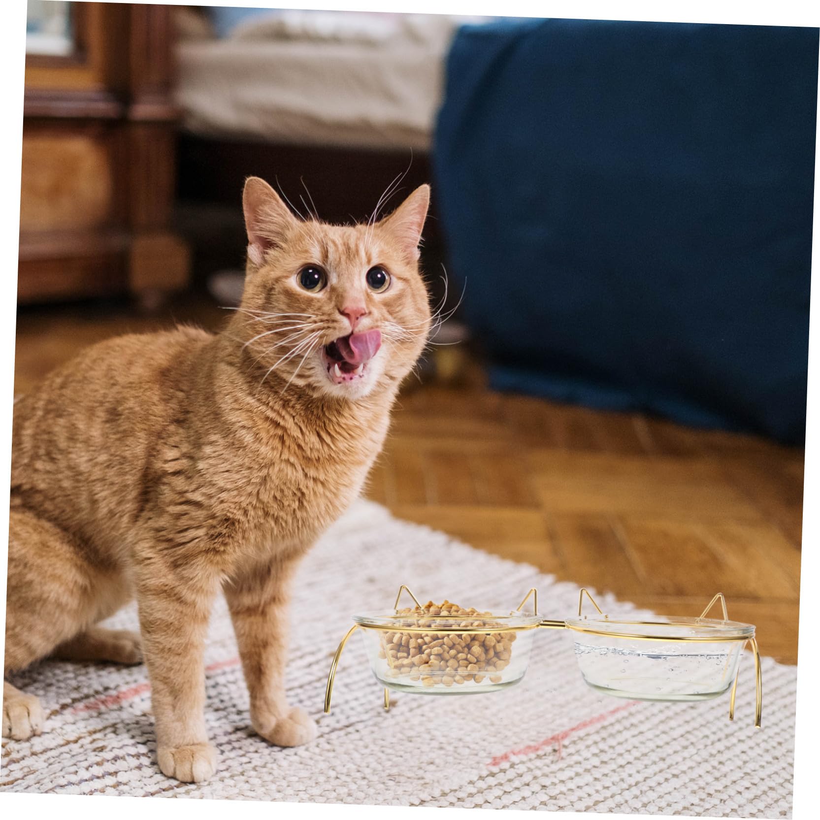 Glas Erhöhter Katzennapf Hilft bei Verdauung mit Nackenschutz Geneigter Futterschale für Katzen und Kleine Hunde