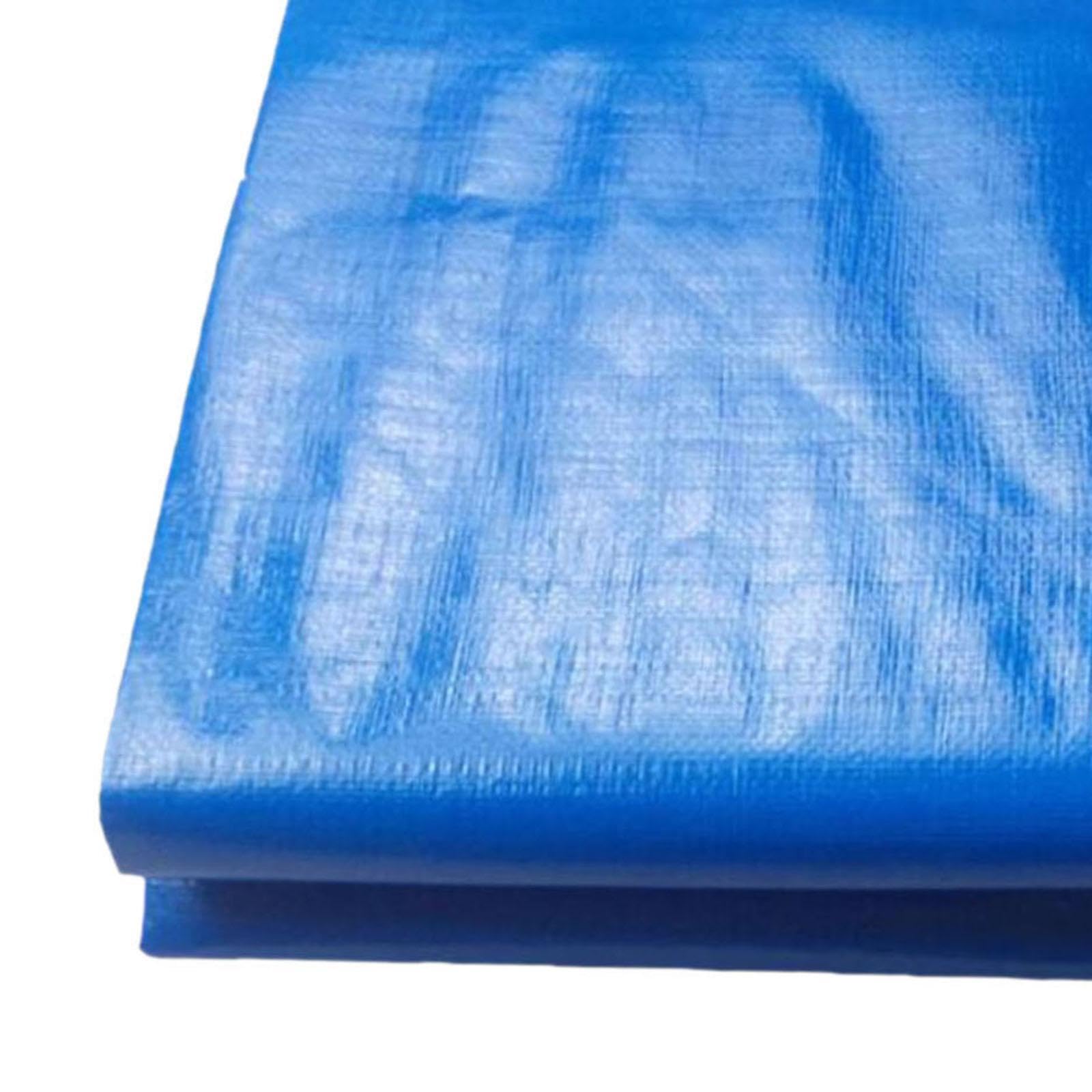 Telo da Piscina Rettangolare, Telo da Giardino,Blu,500x300cm