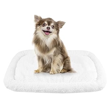 HappyCare Textiles Long Rich HCT ERE-001 Super Soft Sherpa Crate Cushion Dog and Pet Bed, 20 by 14.5-Inch, White