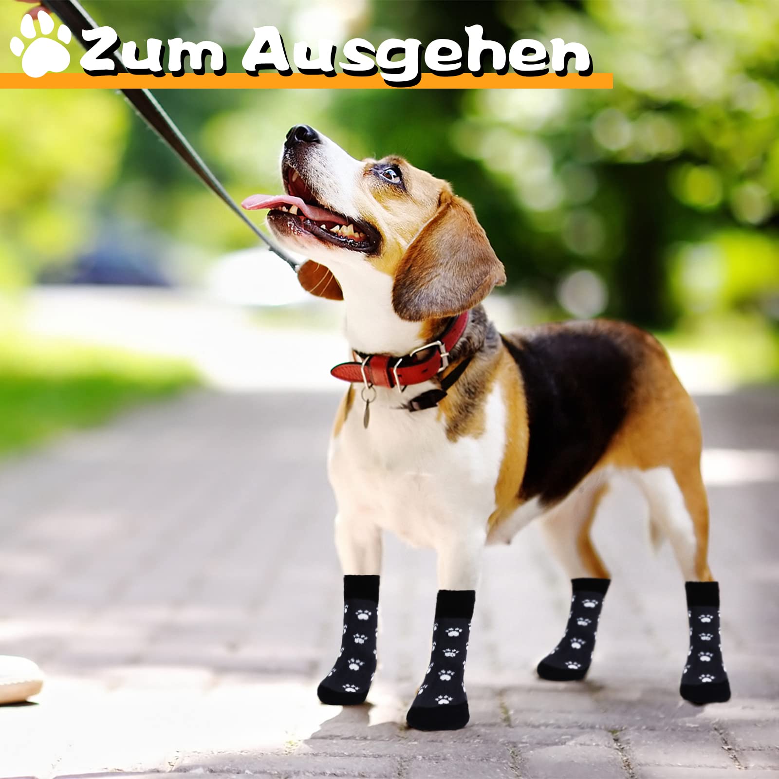 3 Paia Di Calzini Antiscivolo Per Cani – Con Chiusura In Velcro, Per Pavimenti Lisci E Esterno, Taglia L
