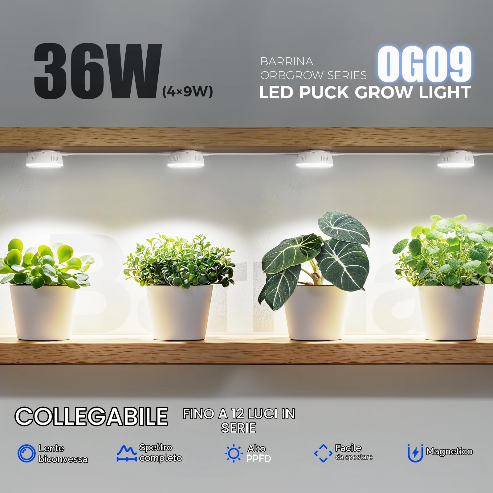 Barrina Orbgrow OG09 Puck Grow Light, 5000 K 36 W (4 x 9 W, 540 Watt Equiv), luce a spettro completo per piante da interno, magnetica e collegabile con timer, 5 livelli dimmerabili per mensole per