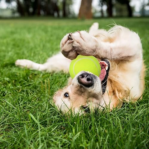 Miniatura 7 de Vinsot 48 Pack Pink Tennis Balls Bulk Pressurized Tennis Balls Felt Practice Training Tennis Dogs Playing Balls for Youth Beginner Sport Balls, 2.5