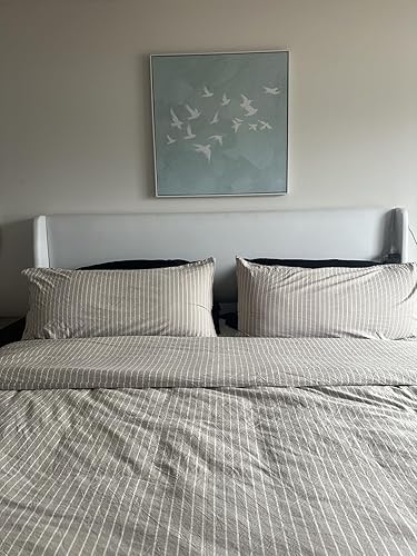 Review Image by Haley H.