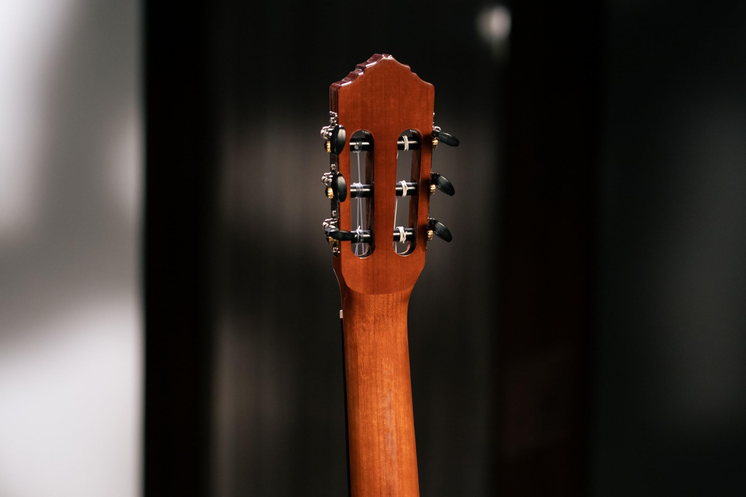 Ortega Guitars Guitare Classique 4/4 – Student Series – Épicéa / Catalpa, Naturel Brillant (RST5)