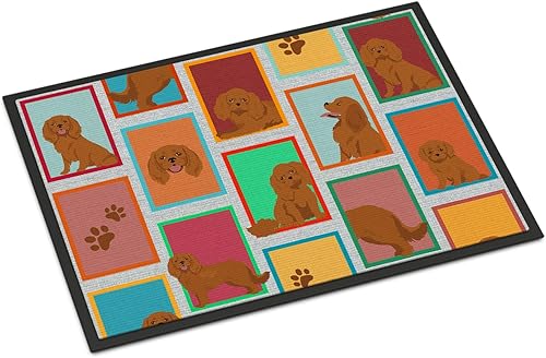 Vista 296 de Caroline's Treasures MLM1087MAT - Felpudo de perro de montaña bernés de 18 x 27 pulgadas, para interiores y exteriores, para entrada, Bernese