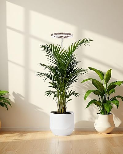 Miniatura 11 de yadoker Luz de cultivo de plantas, luz LED de espectro completo para plantas de interior, altura ajustable, temporizador automático, bajo voltaje