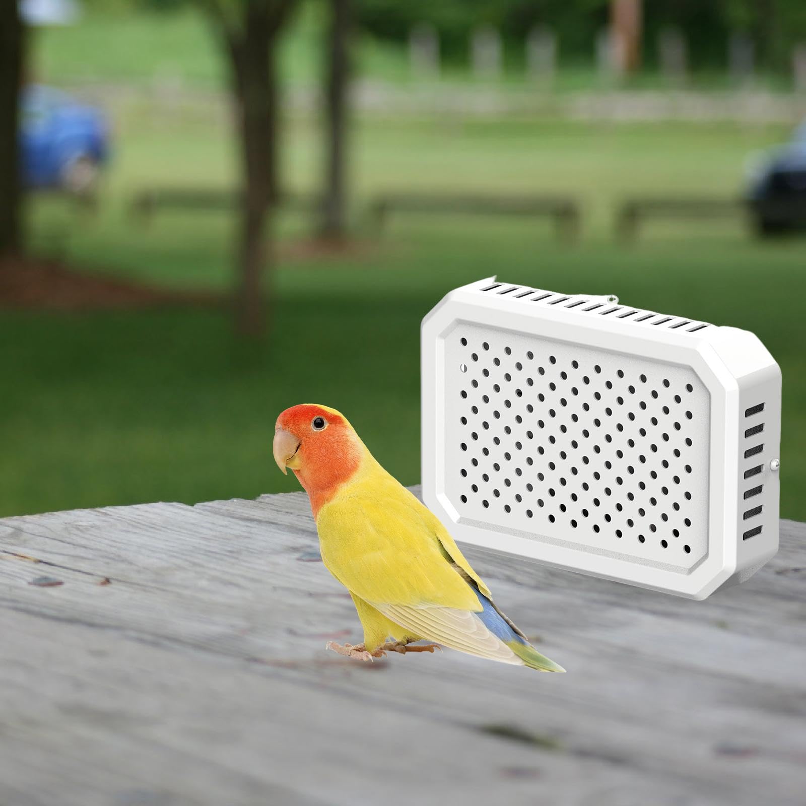Sanfte Vogelkäfig-Heizung Mit Temperaturregelung - Sicher & Gleichmäßig Wärmend