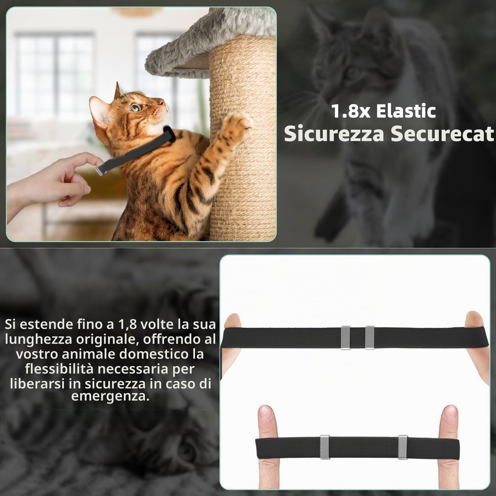 Collare Airtag Gatto, Cllare Elastico per Gattini con Supporto per Apple Airtag, Leggero e Confortevole, Collare Gatto Airtag con GPS ultra elasticizzato per Gatti, Gattini e Cuccioli (nero)