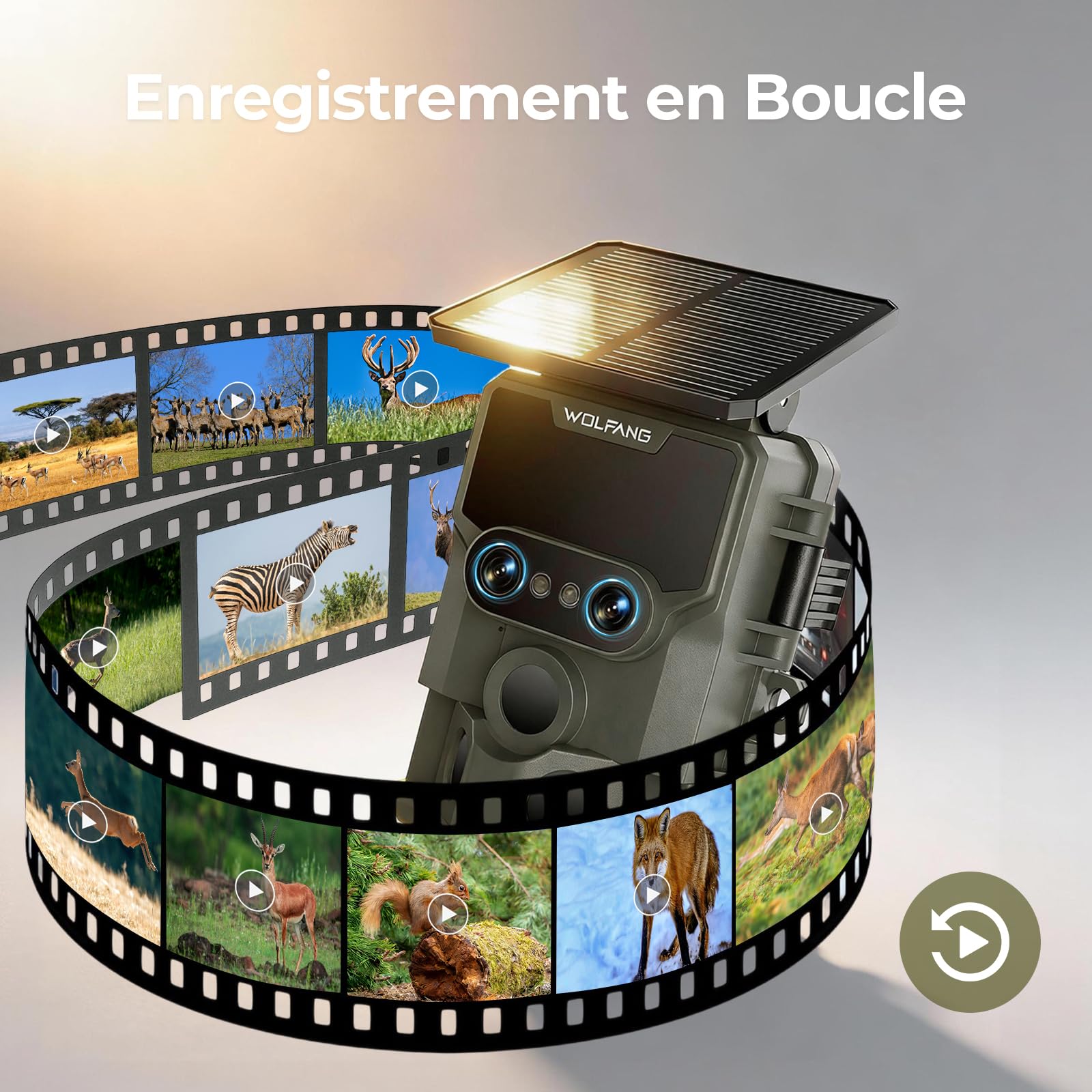 WOLFANG Caméra de Chasse, Double Objectif Caméra Chasse Solaire WiFi 4K/64MP, Détecteur de Mouvement de 0,1s, avec App, 5000mAh Batterie, Vision Nocturne étoilée, IP66 Étanche