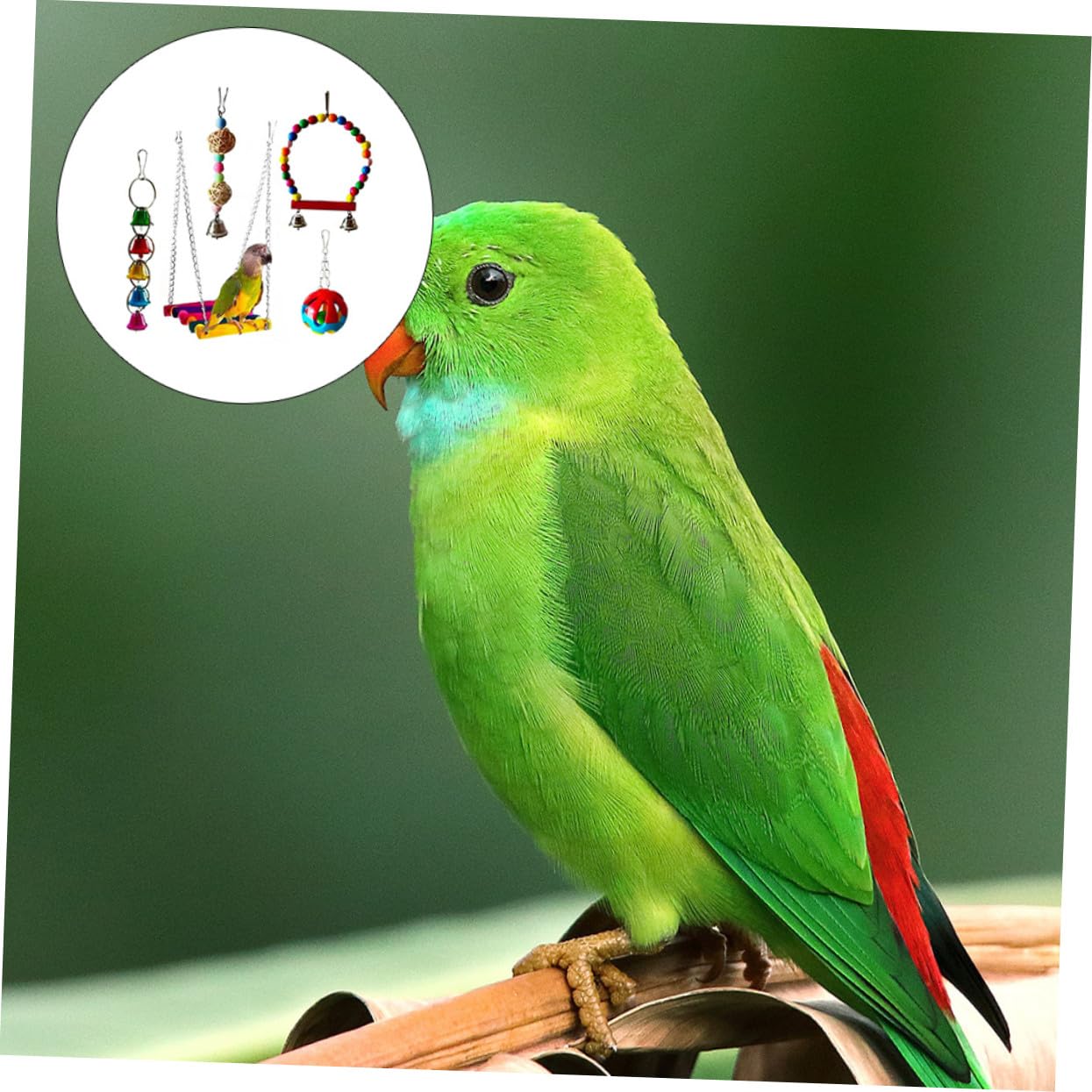 SOIMISS 5 pièces Set de Jouets à Mâcher pour Perroquets Ensemble de Jouets pour Oiseaux Petits et Moyens et pour Stimuler Intelligence et Activité des Perruches