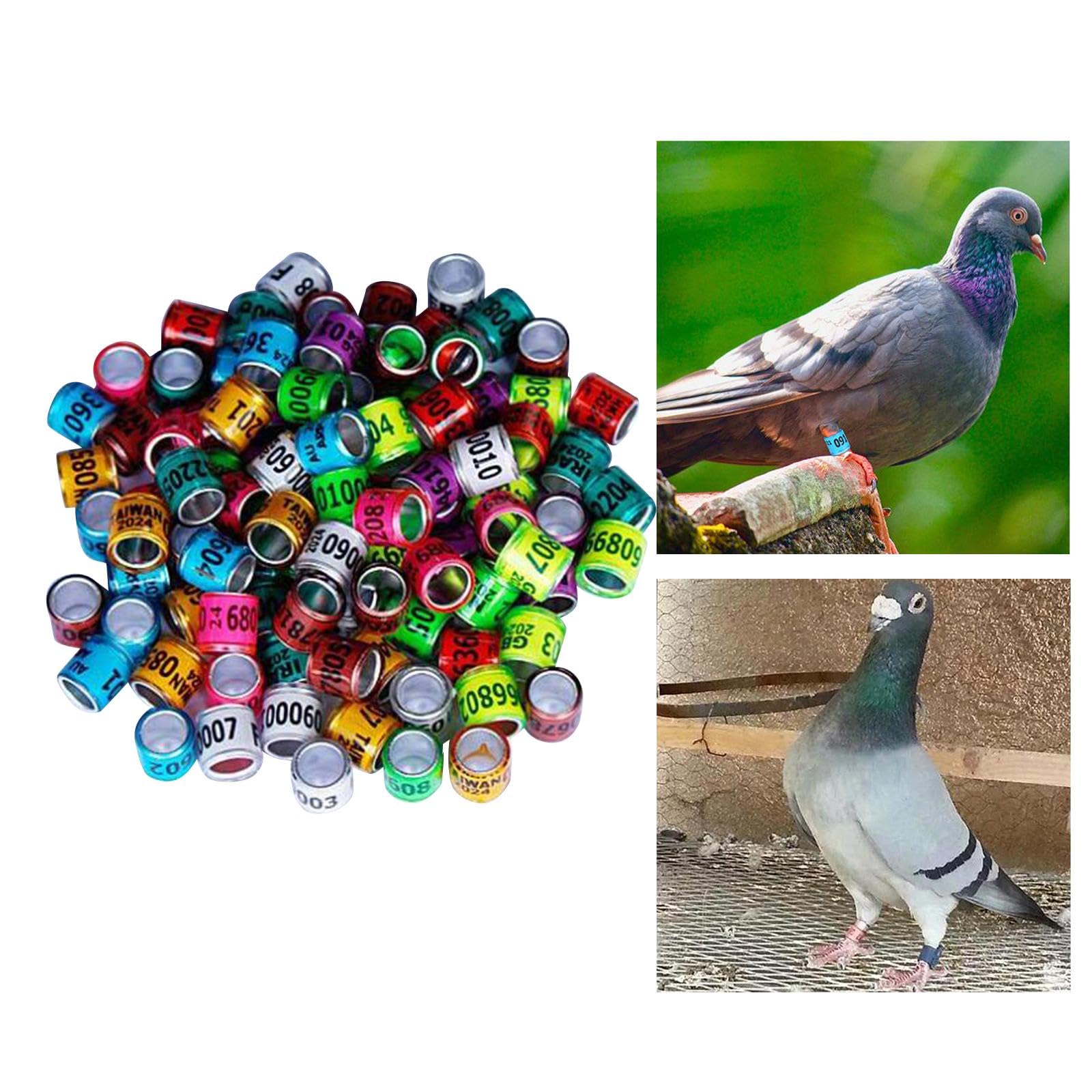Milageto Taubenbeinringe 100 Stück – Aluminium, Innendurchmesser 8 Mm, Höhe 11 Mm, Bunt Bedruckt Zur Identifikation