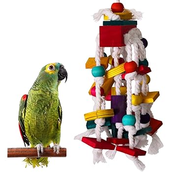 macaw toys for sale