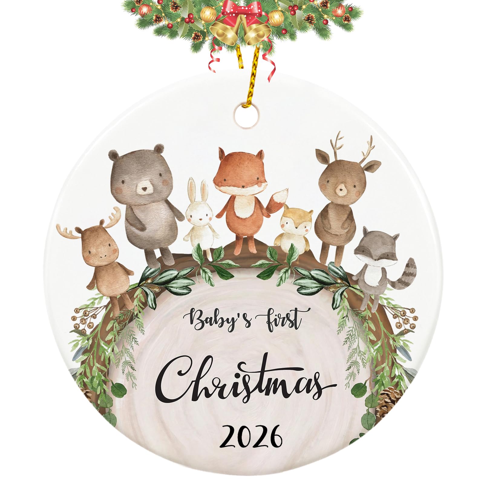 Amazon.com: Babys First Christmas Ornament 2026, My First