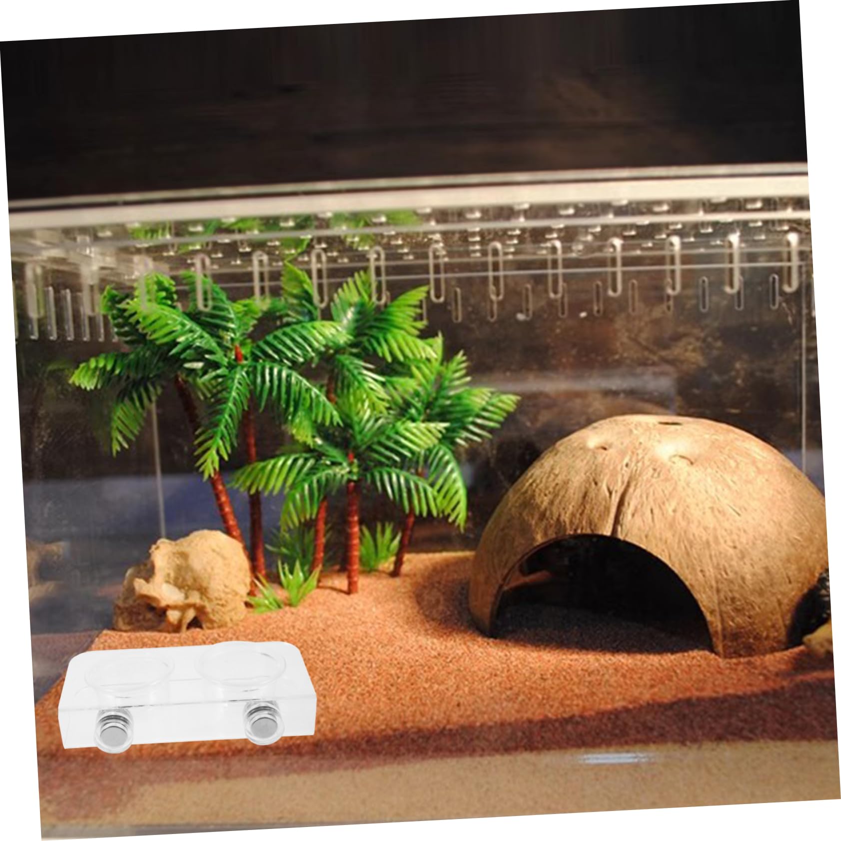 Yardwe 5 Juegos Comedero para Reptiles Cuenca De Agua De Reptil Tazas De Comida Gecko Repisa De Alimentación De Reptiles Repisa del Comedero para Gecos Alimentador De Gecos Acrílico