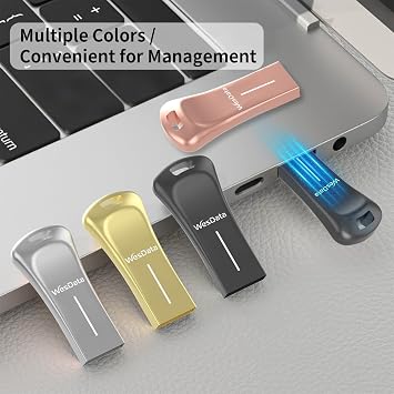 5-Pack 64GB USB Flash Drives with 2 USB C Adapters in Portable Carrying Case, Zinc Alloy Metal Shell, Thumb Drive, Memory Stick, Pen Drive for PC/Mac/Phone/Laptop