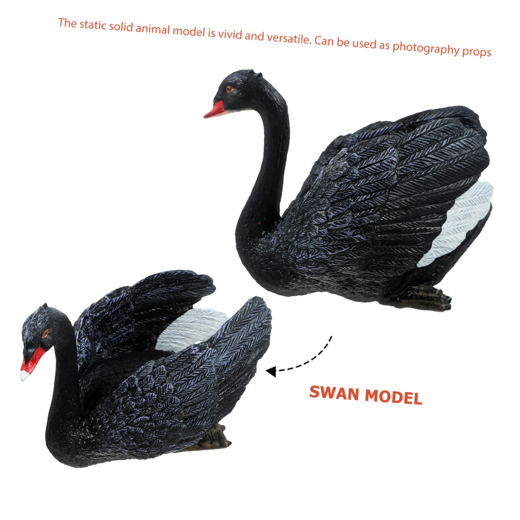 Amazon.com: ULTECHNOVO Realistic Black Swan Model Sculpture for