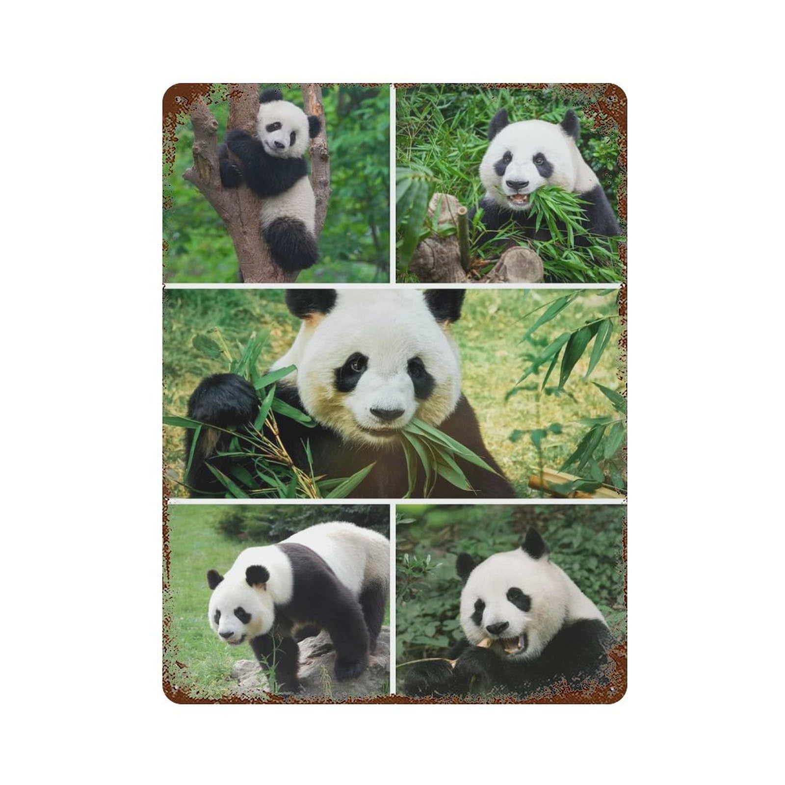 Panda Collage Eating, Climbing, Standing Aged Metal Wall Plaque 15.7"x11.8", Industrial Home Decor for Pub, Kitchen And Man Cave Decor