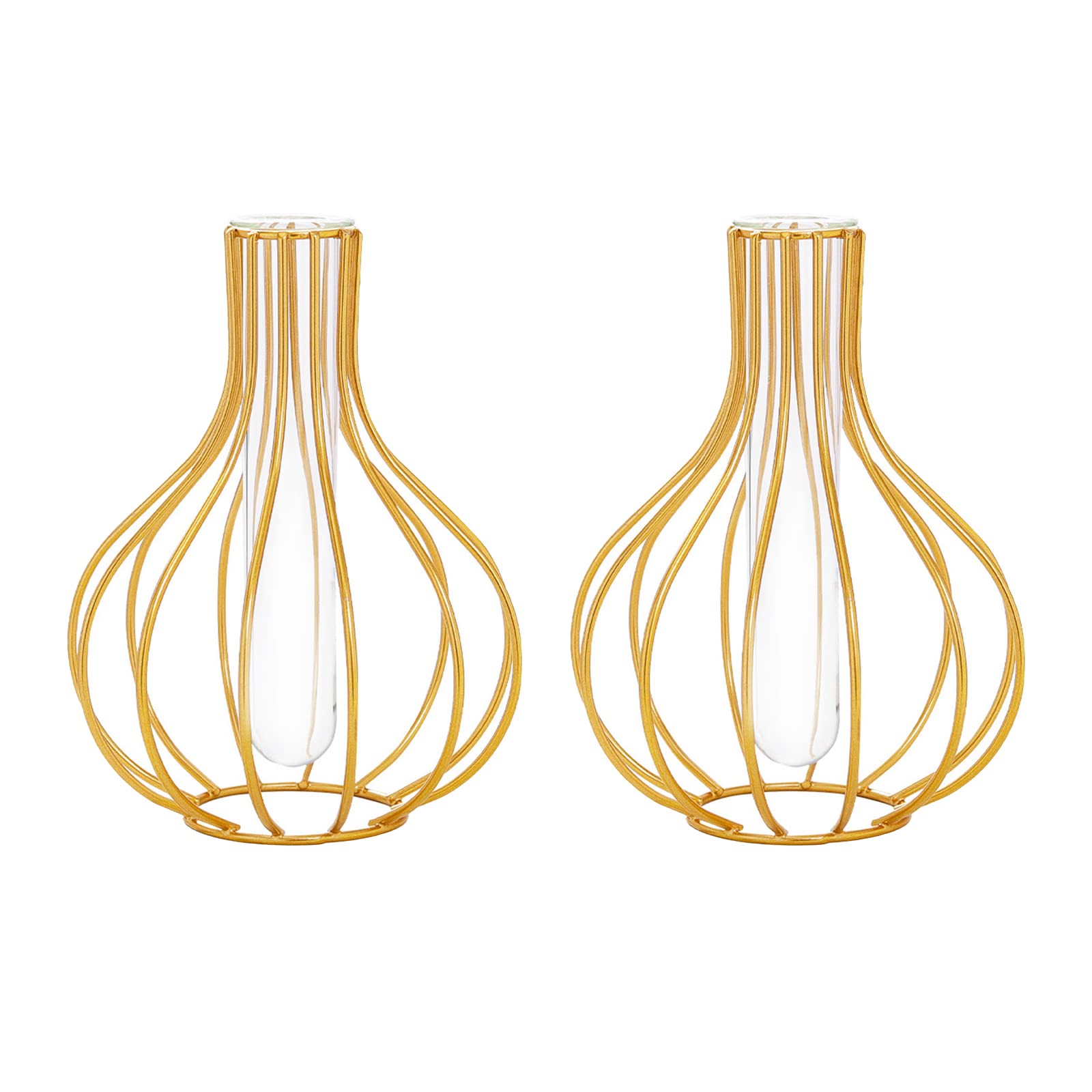 Keebgyy 2Pcs Metal Rack Stand Vases, Hydroponics Glass Vases Set Glass Flower Vase with Geometric Metal Frame Vases for Office Home Kitchen Wedding Decoration,Gold