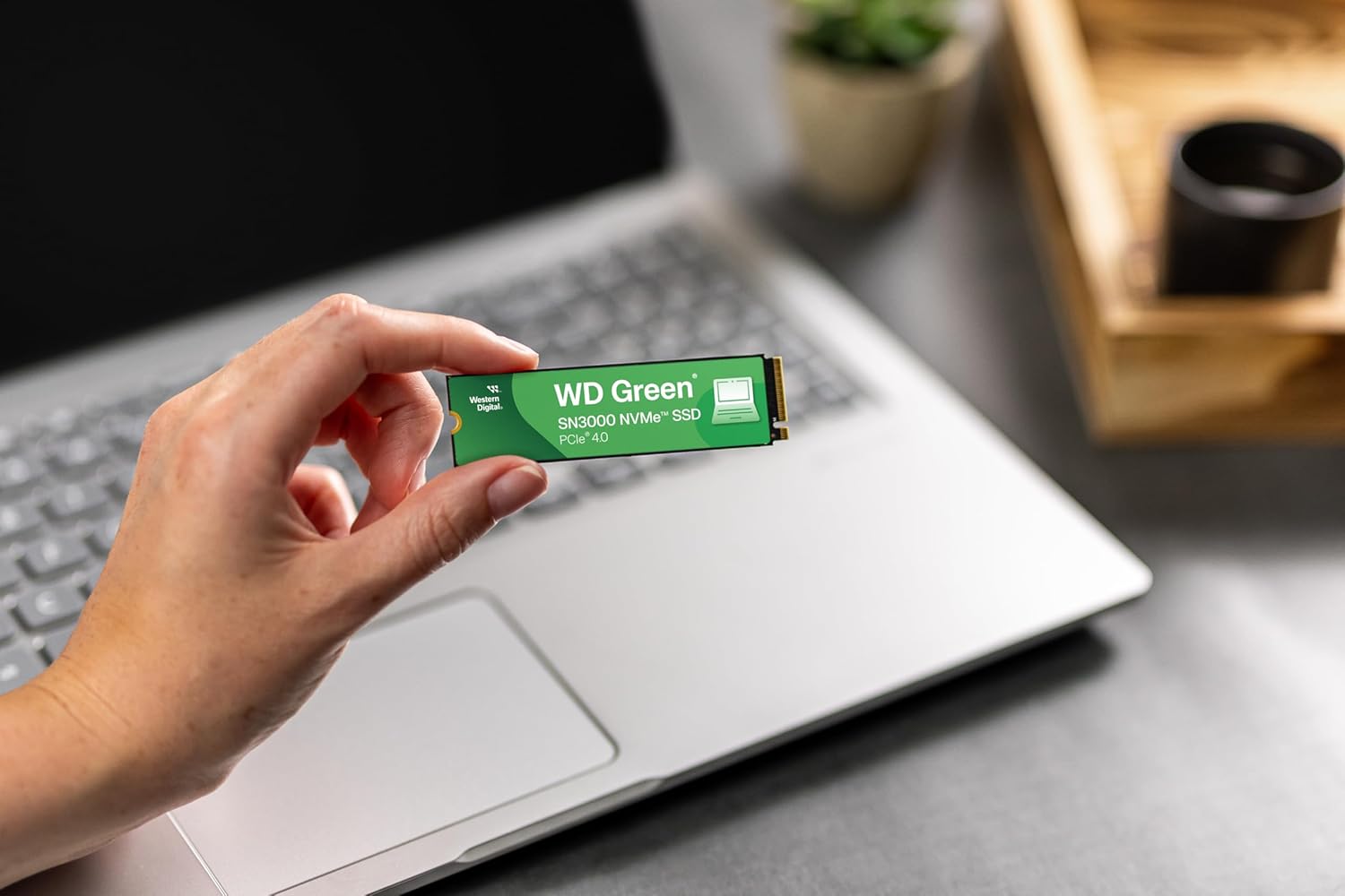 Western Digital 2TB WD Green SN3000 NVMe Internal SSD - Solid State Drive - Gen4 PCIe, M.2 2280, Up to 5,000 MB/s - WDS200T4G0E Western Digital 2TB WD Green SN3000 NVMe Internal SSD - Solid State Drive - Gen4 PCIe, M.2 2280, Up to 5,000 MB/s - WDS200T4G0E