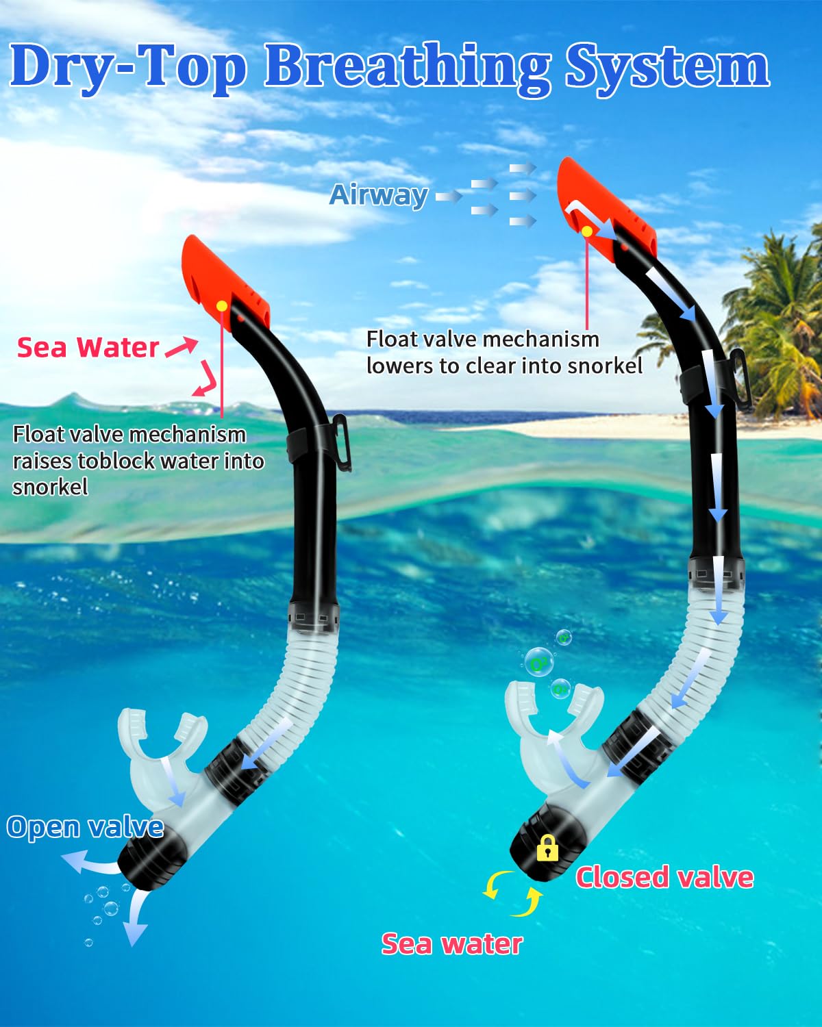 Masque Tuba Adulte 180° Vue HD Anti-Buée - Masque Snorkeling Panoramique Anti-Fuite Pour Hommes Et Femmes