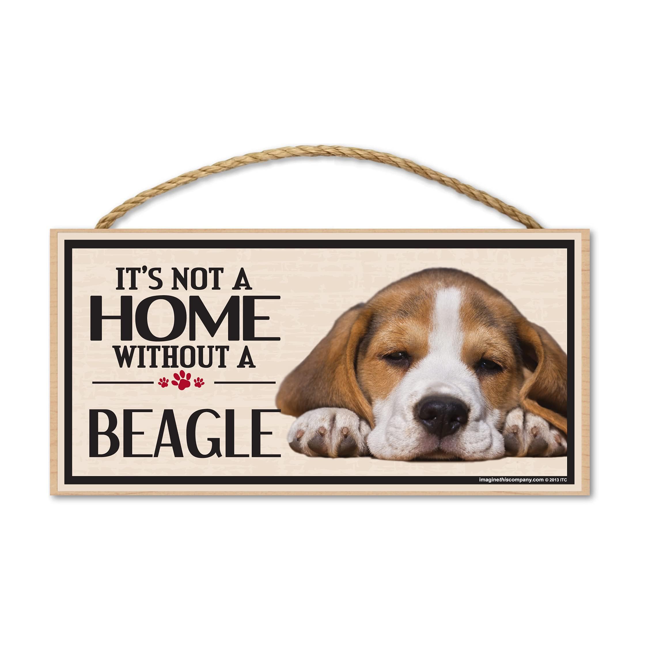 Beagle Dog Decor Bundle – Bone Shaped “I Love My Breed” Car Magnet, Decorative Wood Wall Sign &amp; Beagle Street Sign, Removable Pet Magnet for Cars, Fridges &amp; Metal Surfaces