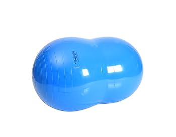 gymnic Physio Roll バランスボール 70cm 楽天市場】ギムニク バランスボール フィジオロール70 70cm