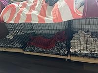 Review Image by W J Sayno W J Sayno