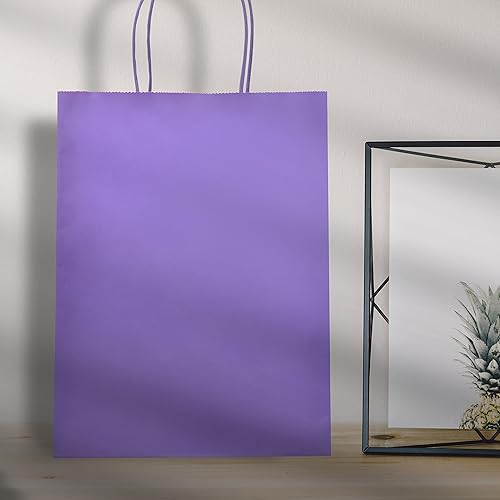 Miniatura 6 de Nexmint Bolsas de papel kraft de 8 x 10.5 pulgadas, bolsas de regalo con asa para cumpleaños, vacaciones, regalos, recuerdos de fiesta, venta al por