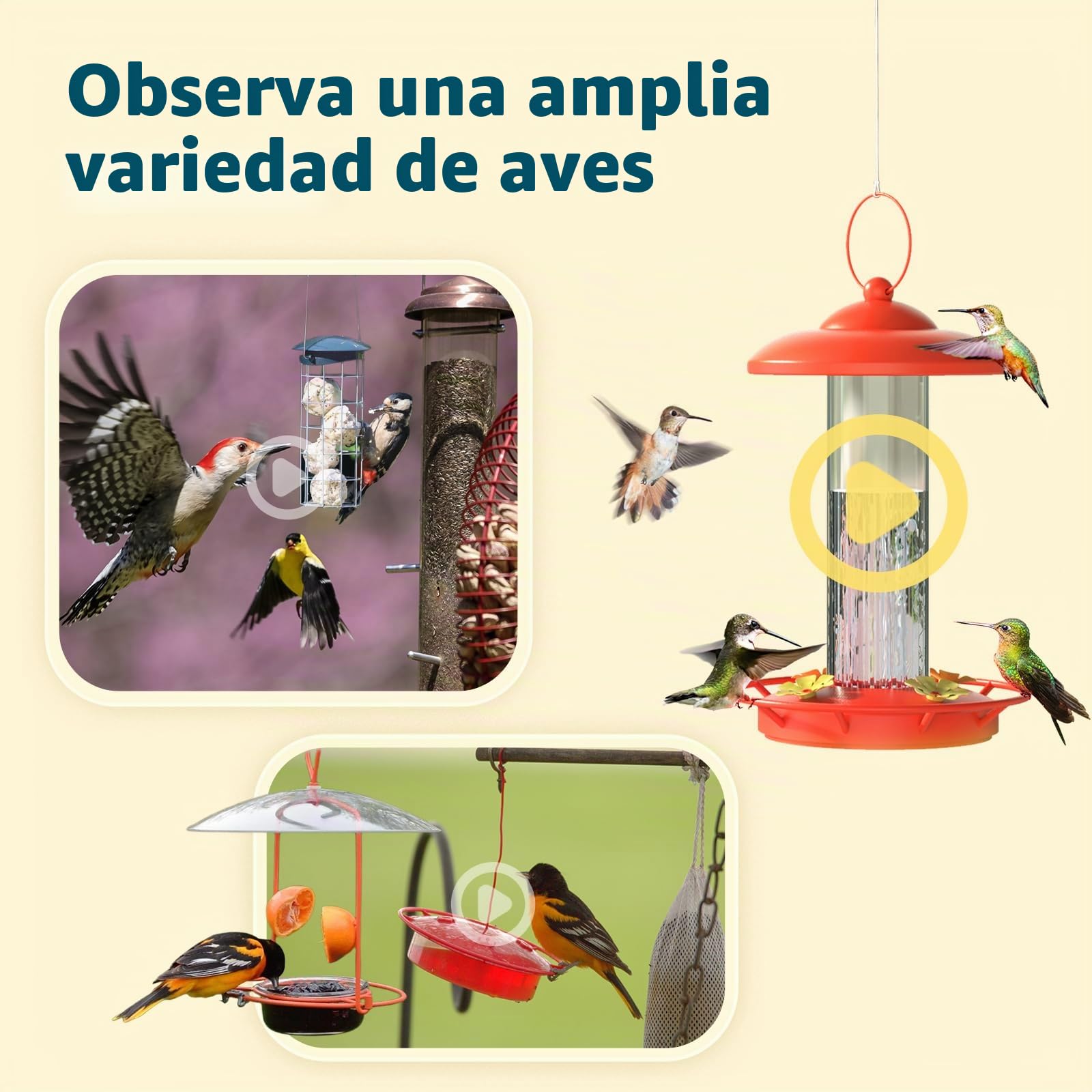 Birdfy Cámara Comedero para Pájaros Inteligente – Versión Mejorada, energía Solar, Captura automática de vídeo, notificaciones instantáneas, IA identifica 6000+ Especies, 1080P cámara para Aves
