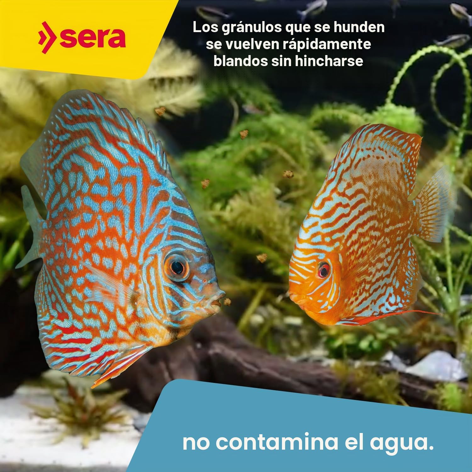 Sera Discus Granulat 4,2 kg