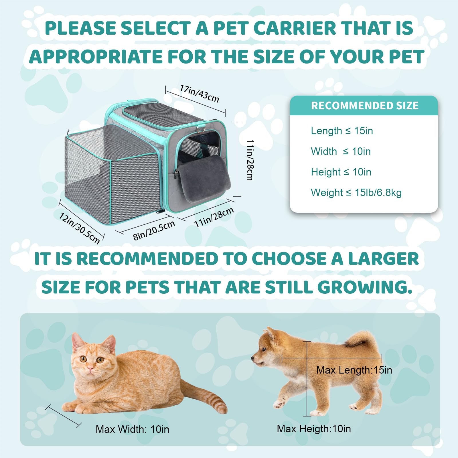 Trasportino Gatto, Borsa Per Cani Pieghevole ed Estensibile, Sicuro e Traspirante, Approvato dalle Compagnie Aeree per l'Uso come Borsa per Trasportino Cani Aereo fino a 6.8kg