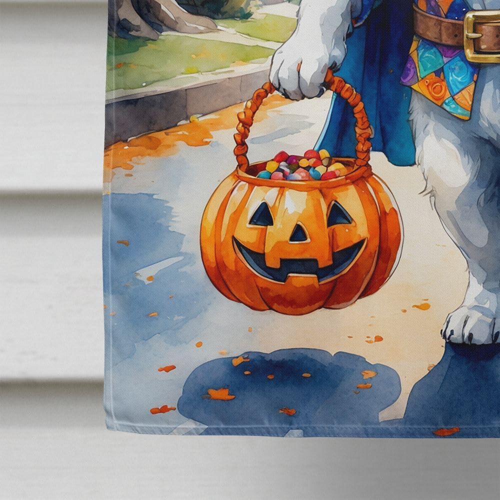 Caroline's Treasures Saint Bernard Halloween Trick or Treat House Flag Large Porch Sleeve Pole Decorative Outside Yard Banner Artwork Wall Hanging, Polyester, House Size, Multicolor