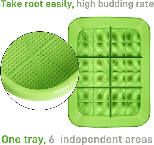 Miniatura 4 de Paquete de 5 bandejas de germinado de semillas para microverdes, kit de cultivo de brotes sin tierra, gran capacidad para el hogar, oficina, jardín