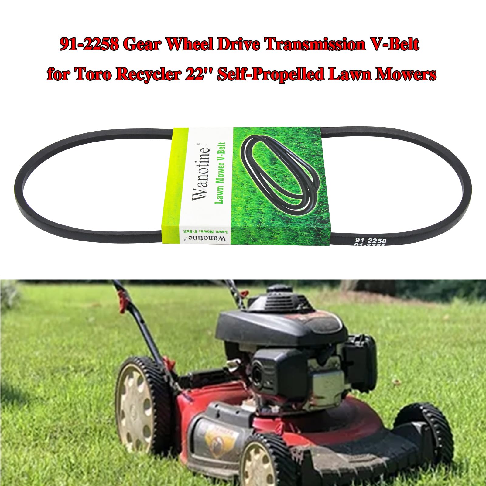 Amazon.com : Wanotine 91-2258 V-Belt 3/8