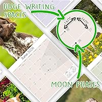 Vista 1302 de Razas de Perros 2017