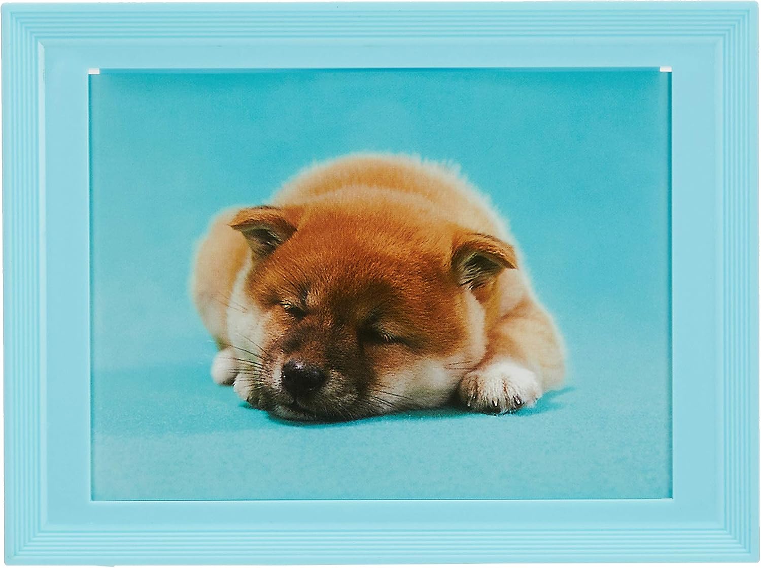 FUJICOLOR 500022 Photo Frame, L Color Frame, L White