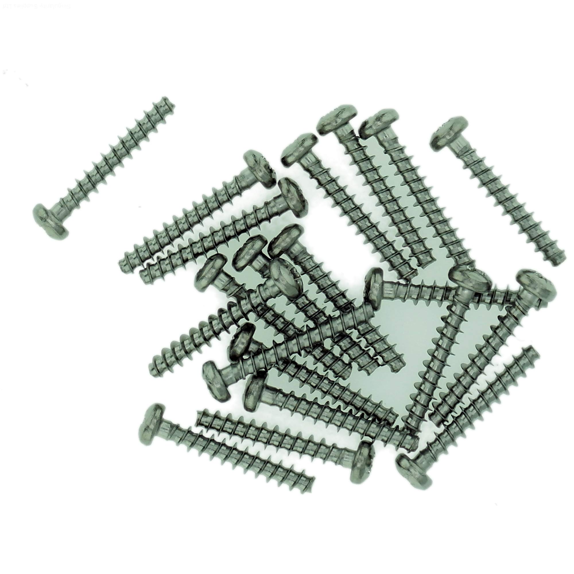 Singularity Supplies D3.5 (3.5Mm X 18Mm) Pozi Pan Screws For Plastic - Stainless Steel (A2) (Pack Of 20)
