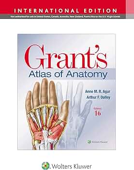 健康・医学 Grant's ATLAS OF ANATOMY Grant's Atlas of Anatomy (Lippincott Connect): 9781975193430