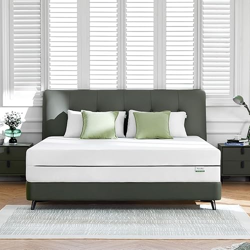 Novilla Colchón tamaño King de espuma viscoelástica de 10 pulgadas para aislamiento de movimiento, alivio de presión y sueño fresco, colchón King en