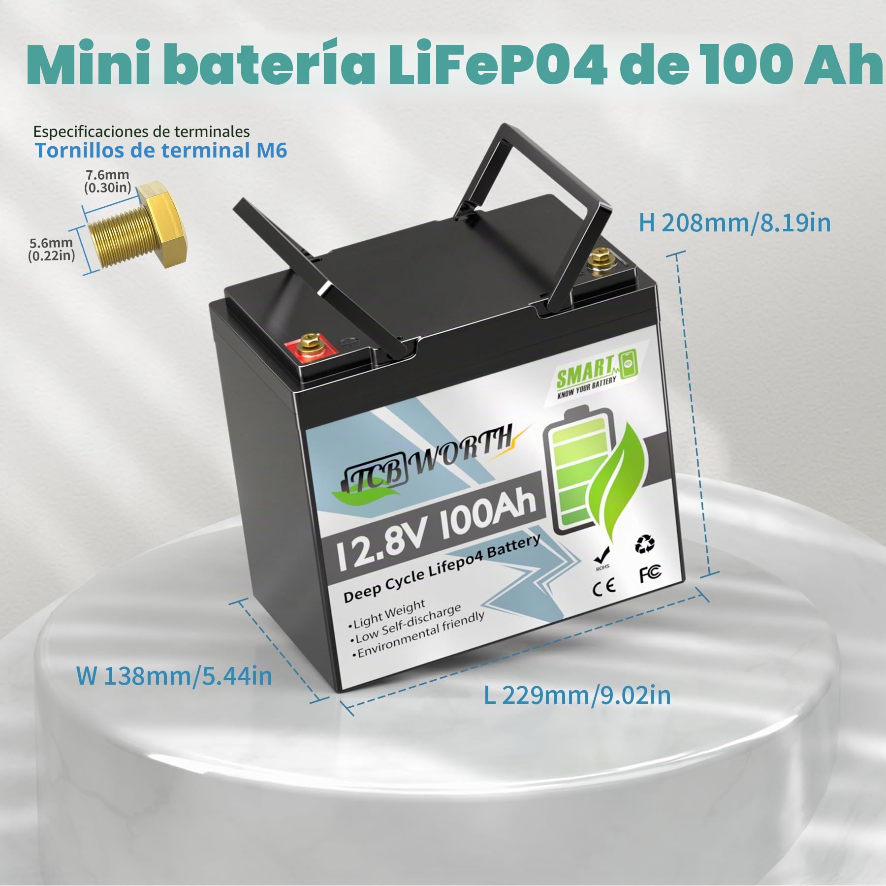 TCBWORTH Bateria Litio 12V 100Ah Bluetooth Batería LiFePO4, 15000+ Ciclo Profundo, Protección Contra Bajas Temperaturas, para Autocaravana, Sistema Placa Solar, Barco, Hogar, Kit Solar, Camping