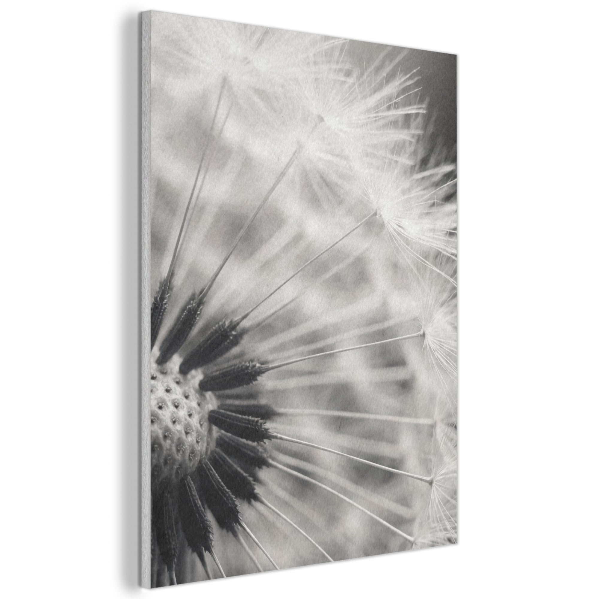 MuchoWow© Felt Panel 70x100 cm Framed Design Print Accent Interior Wallart Decoration Wall Art Dandelion - Black - White
