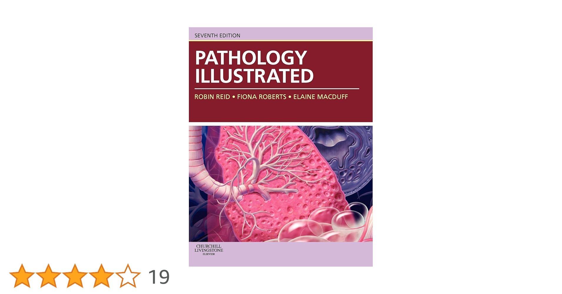 71wlqB0qdZL.jpg_BO30,255,255,